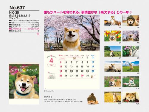<span>No637</span>NK35<br>柴犬まるとおさんぽ